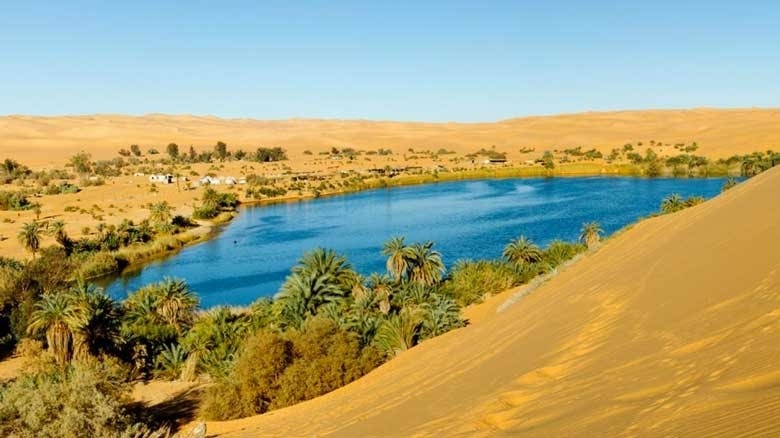 Oasis dans le désert