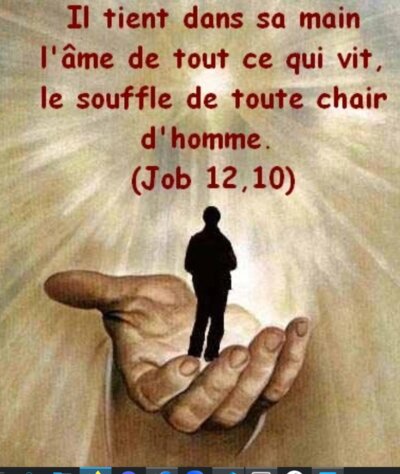 Il tient dans sa main l'âme de tout ce qui vit — Job 12,10
